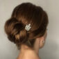 Crystal-Bridal-Hairpins.jpg