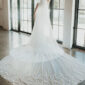 Crystal Embellished Wedding Veil