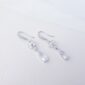La-Fleur-Silver-Drop-Bridal-Earrings.jpg