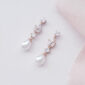 Tiffany-Rose-Gold-Earrings-2.jpg
