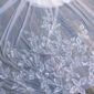 Crystal Vine Wedding Veil