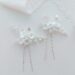Eve Floral Bridal Hairpins